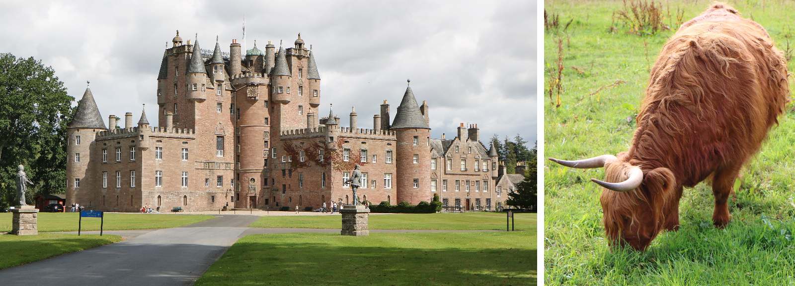 Glamis Castle . . . . . . . . . . . . a skotský skot