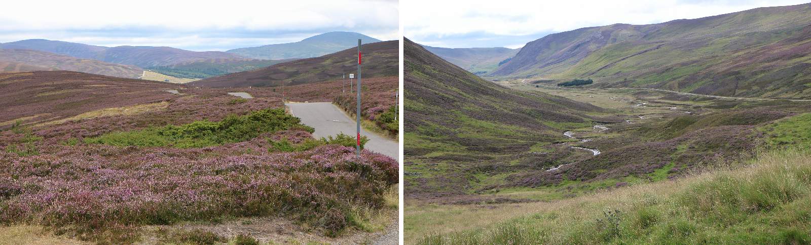 NP Cairngorms