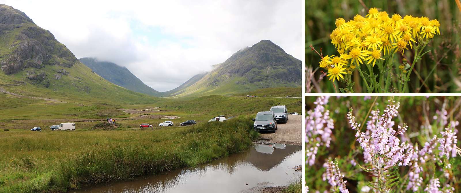 Glencoe