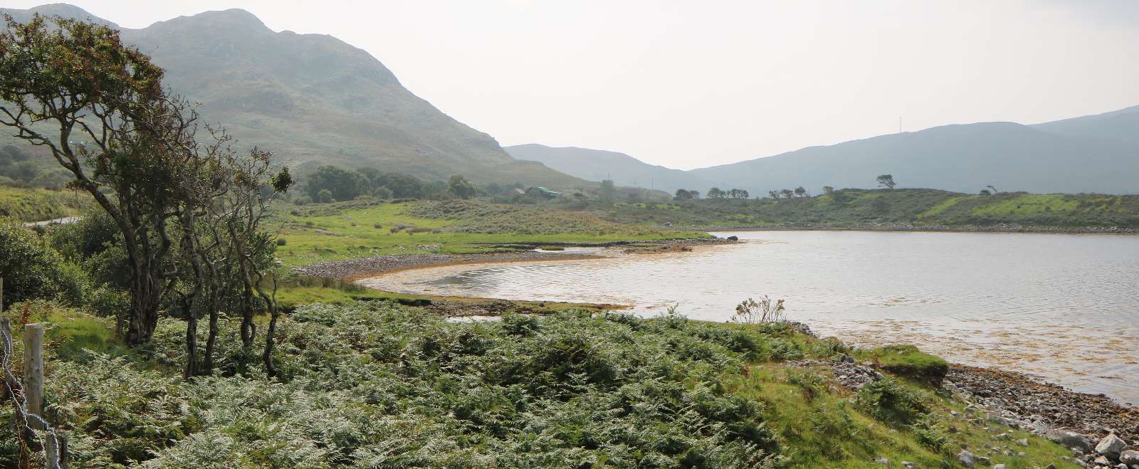 Wild Atlantic Way