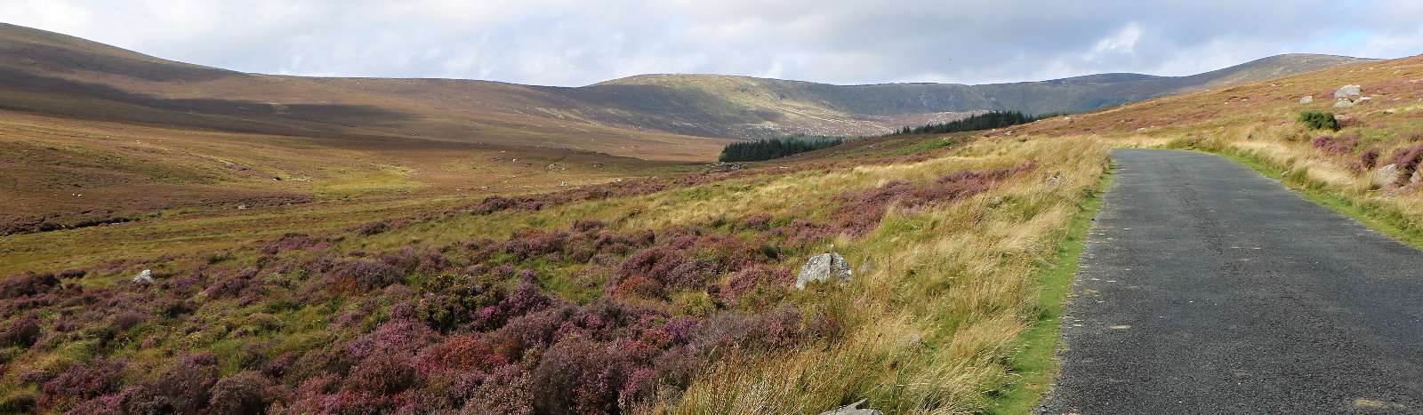 Náhorní plošina Wicklow Mountains ve výšce 530 m.n.m.