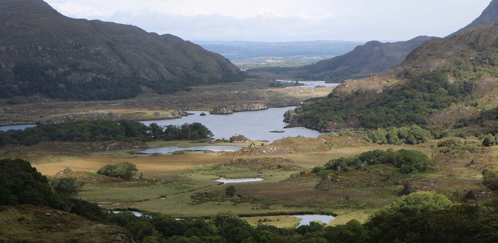 NP Killarney